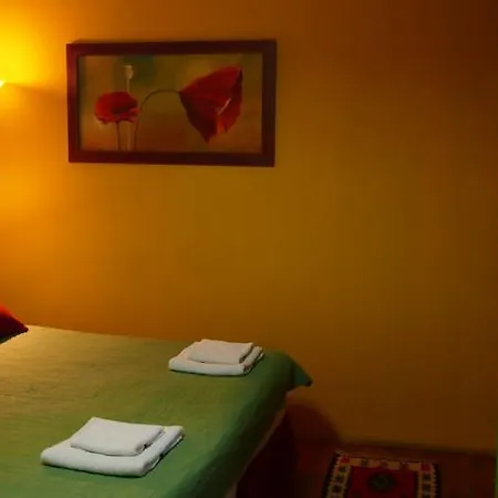 Guest Etno Tasana 3*