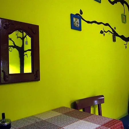 Guest Etno Tasana 3*