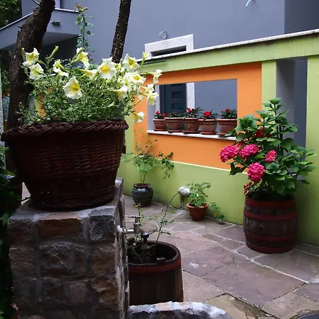 Guest Etno Tasana Guest house