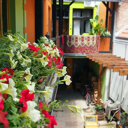 Guest Etno Tasana Guest house *