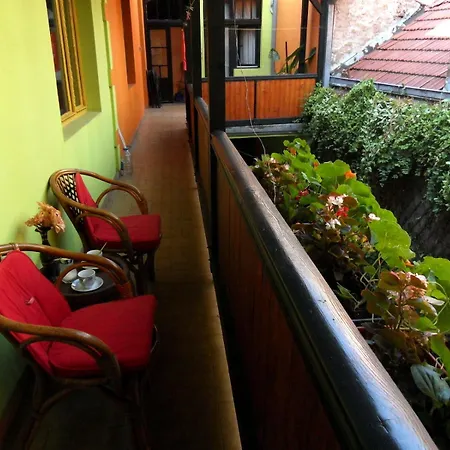 Guest Etno Tasana Guest house *