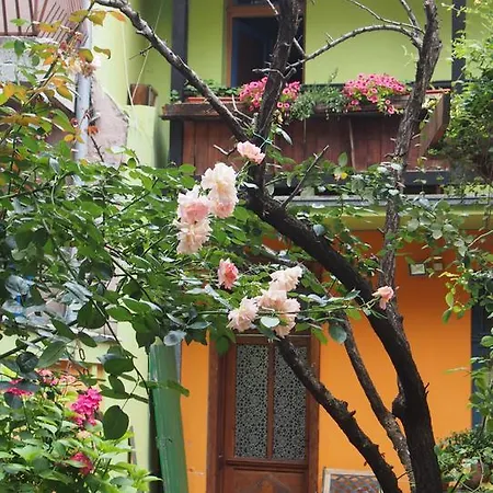 Guest Etno Tasana Nis