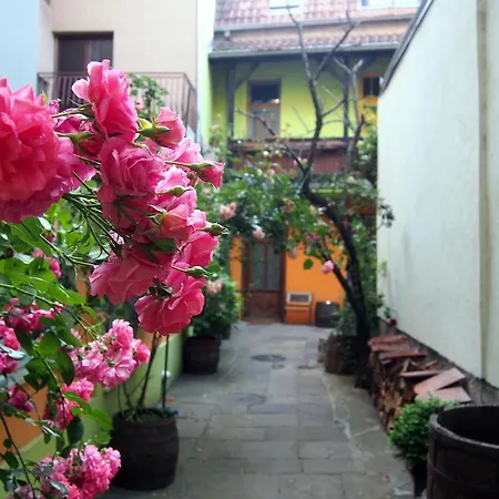 Guest Etno Tasana Gostinjska kuća Nis